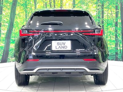 2024 Lexus NX — миниатюра 15