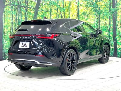 2024 Lexus NX — миниатюра 17