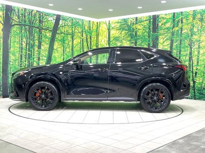 2024 Lexus NX — миниатюра 25