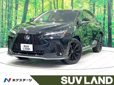 2024 Lexus NX 照片 1