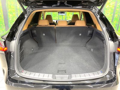 2024 Lexus NX 照片 10