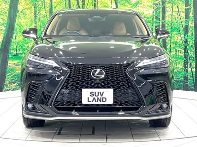 2024 Lexus NX — миниатюра 14