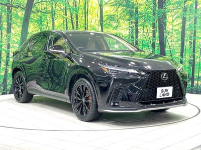 2024 Lexus NX — миниатюра 16