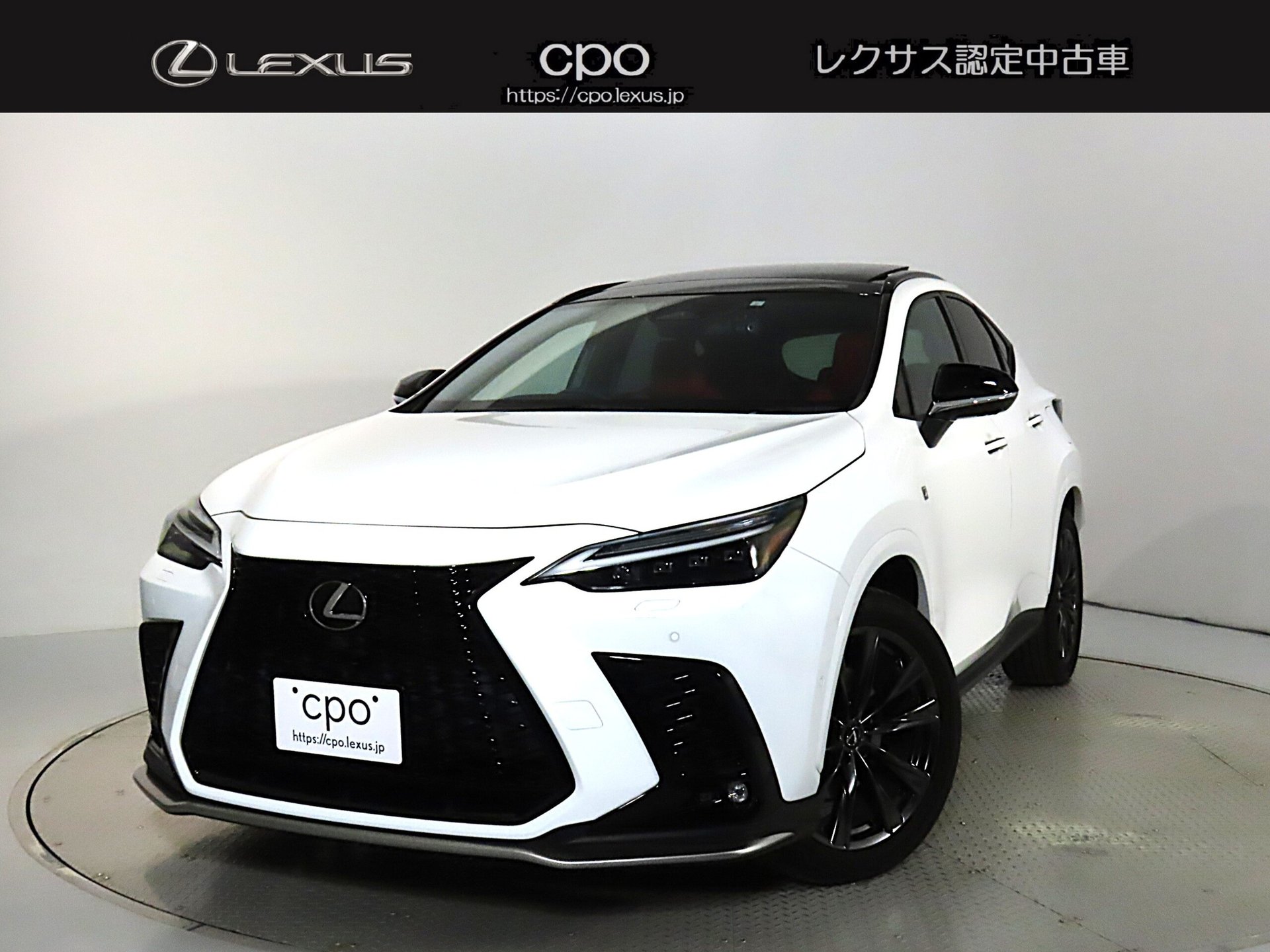 LEXUS NX - View 1