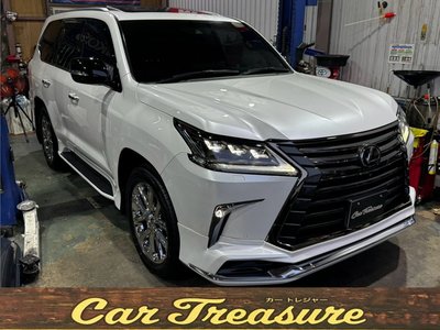2021 Lexus LX 照片 1