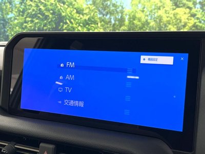 2024 Toyota LAND CRUISER 250 缩略图 63