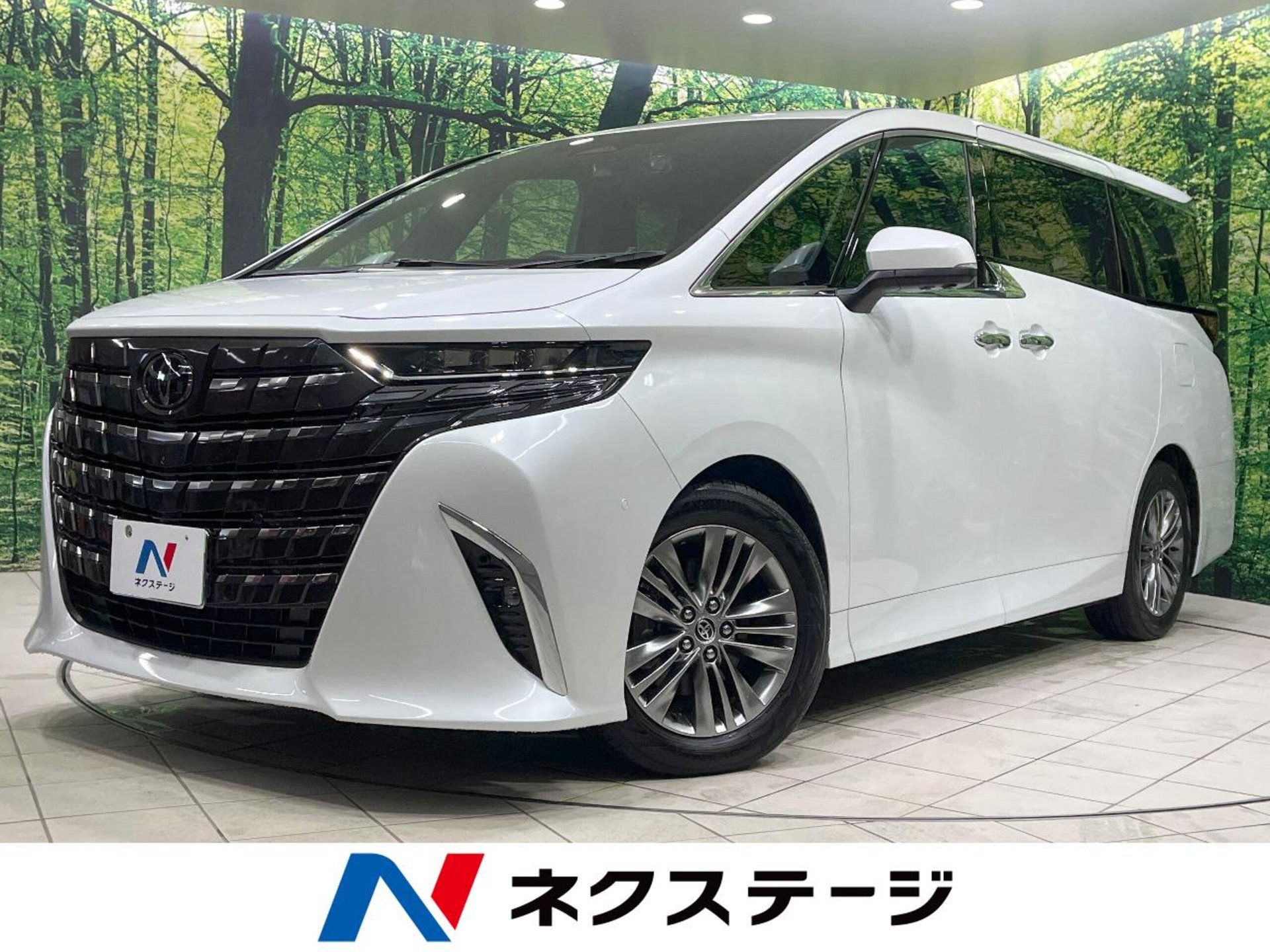 TOYOTA ALPHARD - View 1