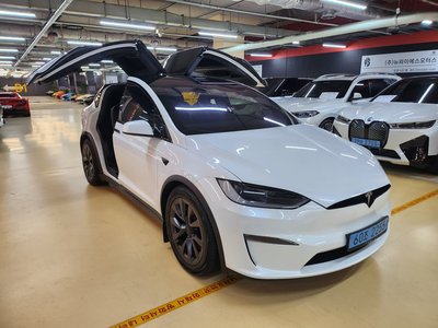 2024 Tesla MODEL X — миниатюра 20