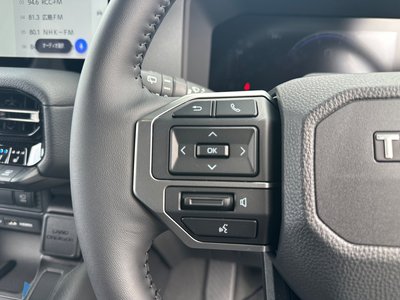صورة مصغرة 16 لـ 2025 Toyota LAND CRUISER 250