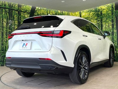 2023 Lexus NX — миниатюра 17