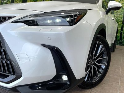 2023 Lexus NX — миниатюра 12