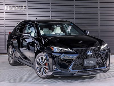 LEXUS UX - 5