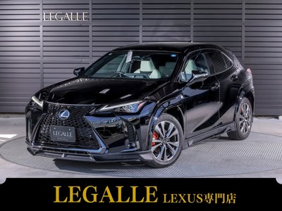 LEXUS UX - 1
