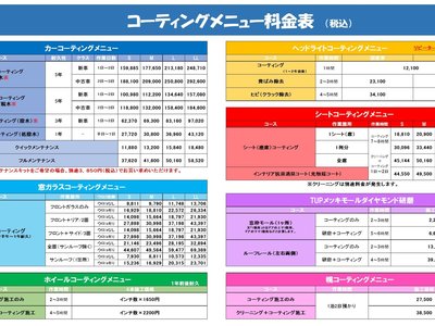 TOYOTA LAND CRUISER - 6