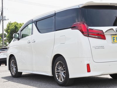 2020 TOYOTA ALPHARD 缩略图 13