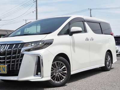2020 TOYOTA ALPHARD 缩略图 11