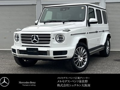 MERCEDES-BENZ G-CLASS - 1