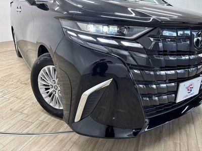 2025 Toyota ALPHARD — миниатюра 20