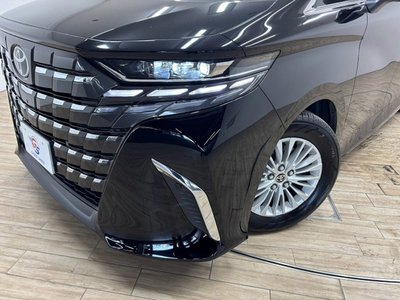 2025 Toyota ALPHARD — миниатюра 29