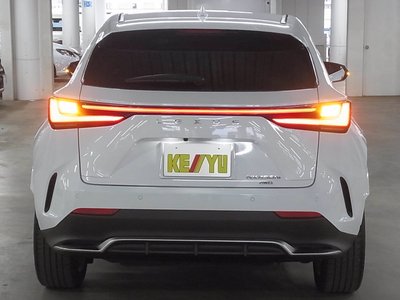 LEXUS NX - 10