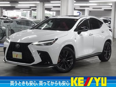 LEXUS NX - 1