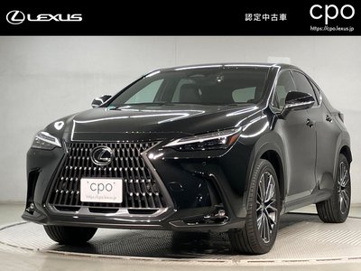 LEXUS NX - 1