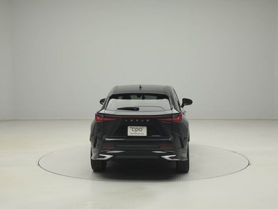 LEXUS NX - 6