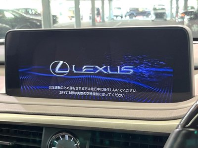 LEXUS RX - 6