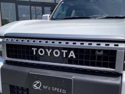 TOYOTA LAND CRUISER 250 - 9