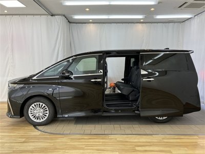 2025 Toyota ALPHARD 缩略图 18