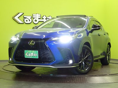 صورة مصغرة 77 لـ 2023 Lexus NX