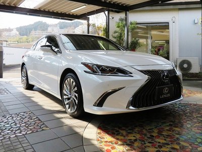 2025 Lexus ES photo 10