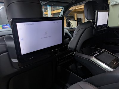 2024 Lexus LX 缩略图 31