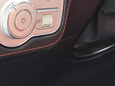 2021 Mercedes-BENZ GLE 缩略图 31