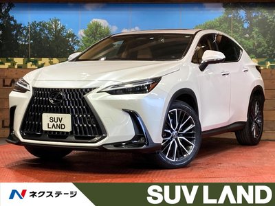 LEXUS NX - 1