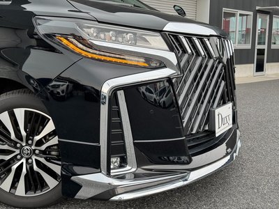 2023 TOYOTA ALPHARD 照片 8