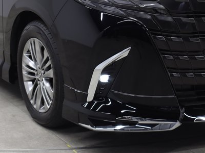 2025 Toyota ALPHARD 缩略图 20