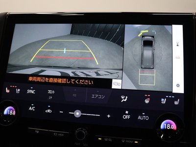 2025 Toyota ALPHARD 缩略图 55