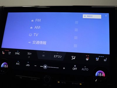 2025 Toyota ALPHARD 缩略图 58
