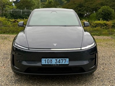 2025 Tesla MODEL Y 照片 4