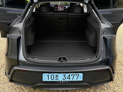 2025 Tesla MODEL Y 照片 6