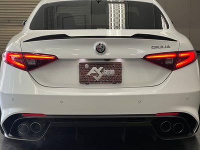 2018 ALFA Romeo JULIA 照片 16