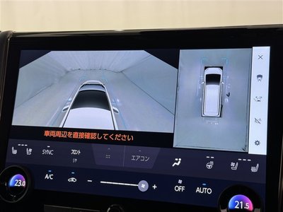 2024 Toyota ALPHARD 缩略图 15