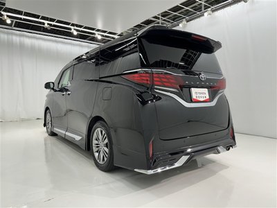 2024 Toyota ALPHARD 照片 6
