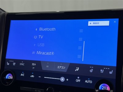 2024 Toyota ALPHARD 缩略图 16