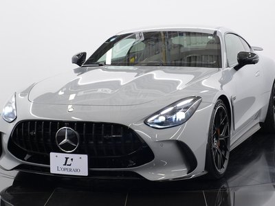 2025 Mercedes-BENZ GT AMG 缩略图 18