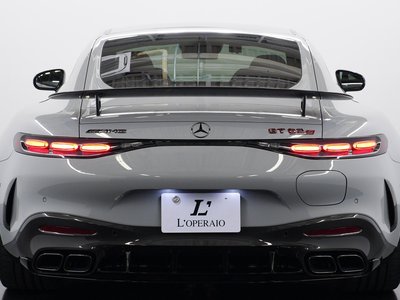 2025 Mercedes-BENZ GT AMG 缩略图 20