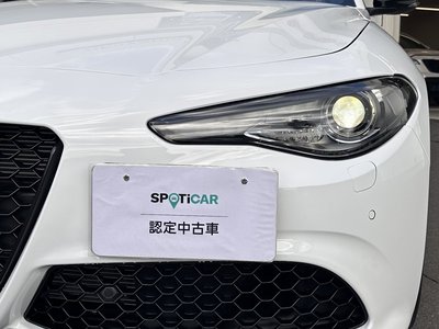 ALFA ROMEO JULIA - 7