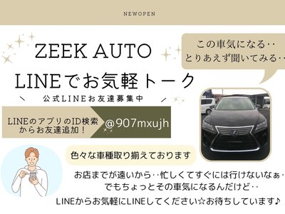 TOYOTA LAND CRUISER 300 - 9