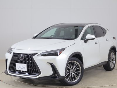 2022 Lexus NX — фото 1